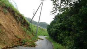 岡山吉備中央ぶどうピオーネシャインマスカット