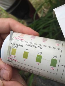 s-カリウム測定不能