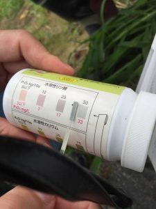 s-水溶性リン酸40～５０