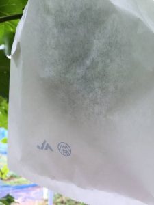 s-袋かけ注意点