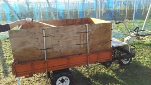 アグリスジャパン天空のピオーネ農園