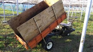 アグリスジャパン天空のピオーネ農園