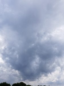 アグリスジャパン天空のピオーネ農園