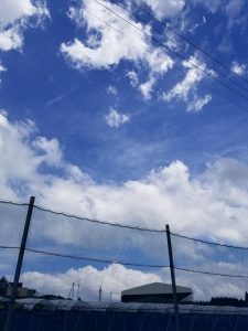 アグリスジャパン天空のピオーネ農園