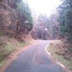 天空農園道のり