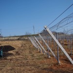 天空のピオーネ農園アグリスジャパン