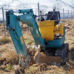 天空のピオーネ農園アグリスジャパン