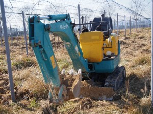 天空のピオーネ農園アグリスジャパン