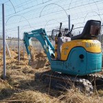 天空のピオーネ農園アグリスジャパン