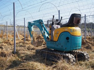 天空のピオーネ農園アグリスジャパン