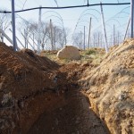 天空のピオーネ農園アグリスジャパン