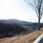 天空のピオーネ農園アグリスジャパン