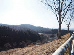 天空のピオーネ農園アグリスジャパン