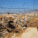 天空のピオーネ農園アグリスジャパン