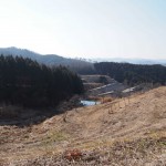 天空のピオーネ農園アグリスジャパン