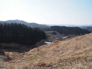 天空のピオーネ農園アグリスジャパン