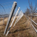 天空のピオーネ農園アグリスジャパン