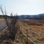 天空のピオーネ農園アグリスジャパン