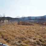 天空のピオーネ農園アグリスジャパン