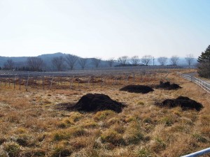 天空のピオーネ農園アグリスジャパン