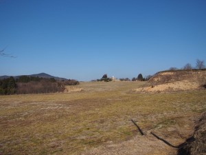天空のピオーネ農園アグリスジャパン