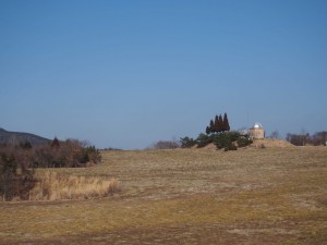 天空のピオーネ農園アグリスジャパン