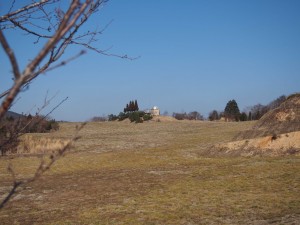 天空のピオーネ農園アグリスジャパン