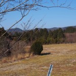 天空のピオーネ農園アグリスジャパン