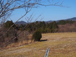 天空のピオーネ農園アグリスジャパン