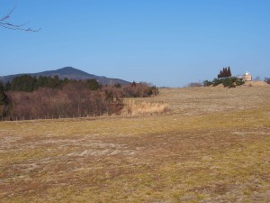 天空のピオーネ農園アグリスジャパン