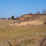 天空のピオーネ農園アグリスジャパン