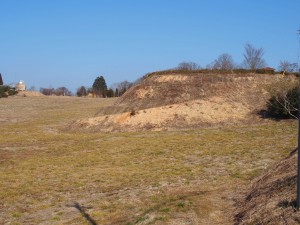 天空のピオーネ農園アグリスジャパン