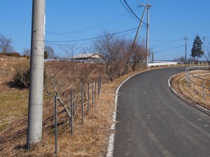 天空のピオーネ農園アグリスジャパン