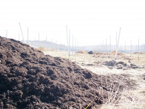 天空のピオーネ農園アグリスジャパン