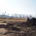 天空のピオーネ農園アグリスジャパン