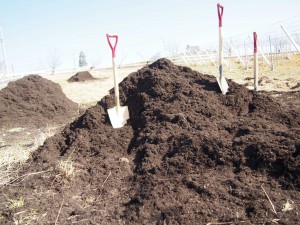 天空のピオーネ農園アグリスジャパン