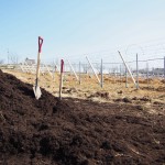 天空のピオーネ農園アグリスジャパン