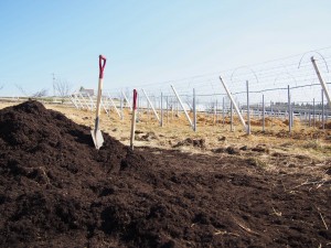 天空のピオーネ農園アグリスジャパン