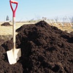 天空のピオーネ農園アグリスジャパン