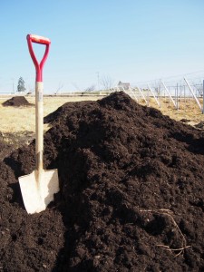 天空のピオーネ農園アグリスジャパン