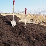 天空のピオーネ農園アグリスジャパン