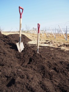 天空のピオーネ農園アグリスジャパン