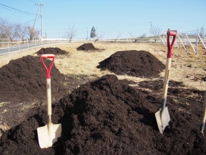 天空のピオーネ農園アグリスジャパン