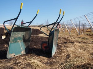 天空のピオーネ農園アグリスジャパン