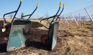 天空のピオーネ農園アグリスジャパン