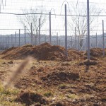 天空のピオーネ農園アグリスジャパン