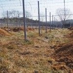 天空のピオーネ農園アグリスジャパン