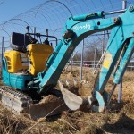 天空のピオーネ農園アグリスジャパン