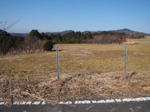 天空のピオーネ農園アグリスジャパン