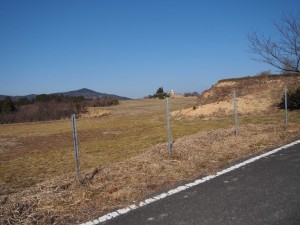 天空のピオーネ農園アグリスジャパン